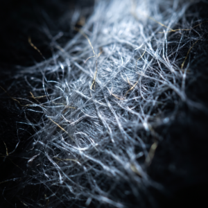 The Recovery Stack: Understanding BPC-157 and TB-500 in Modern Research